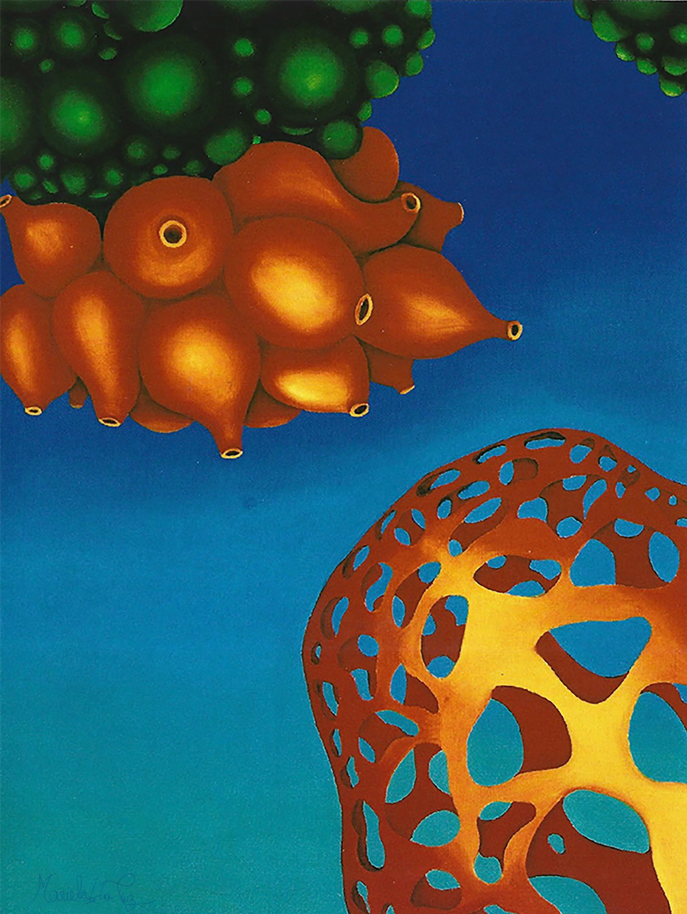 "Radiolara"
