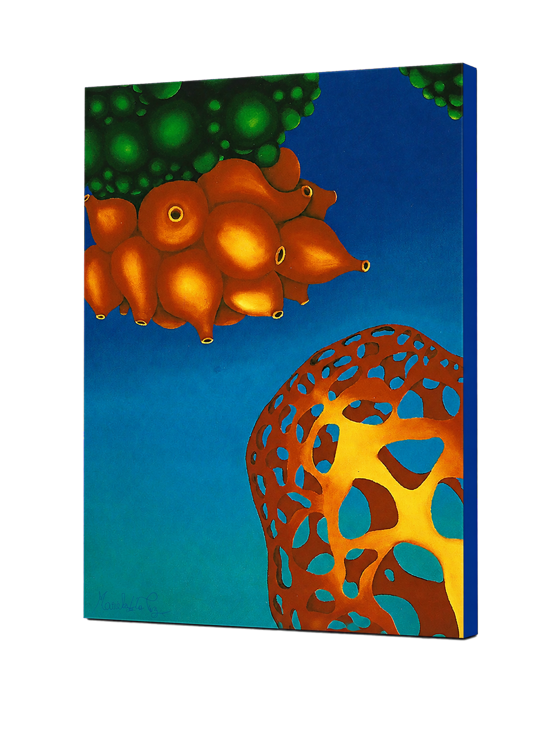 Radiolara Canvas Wrap