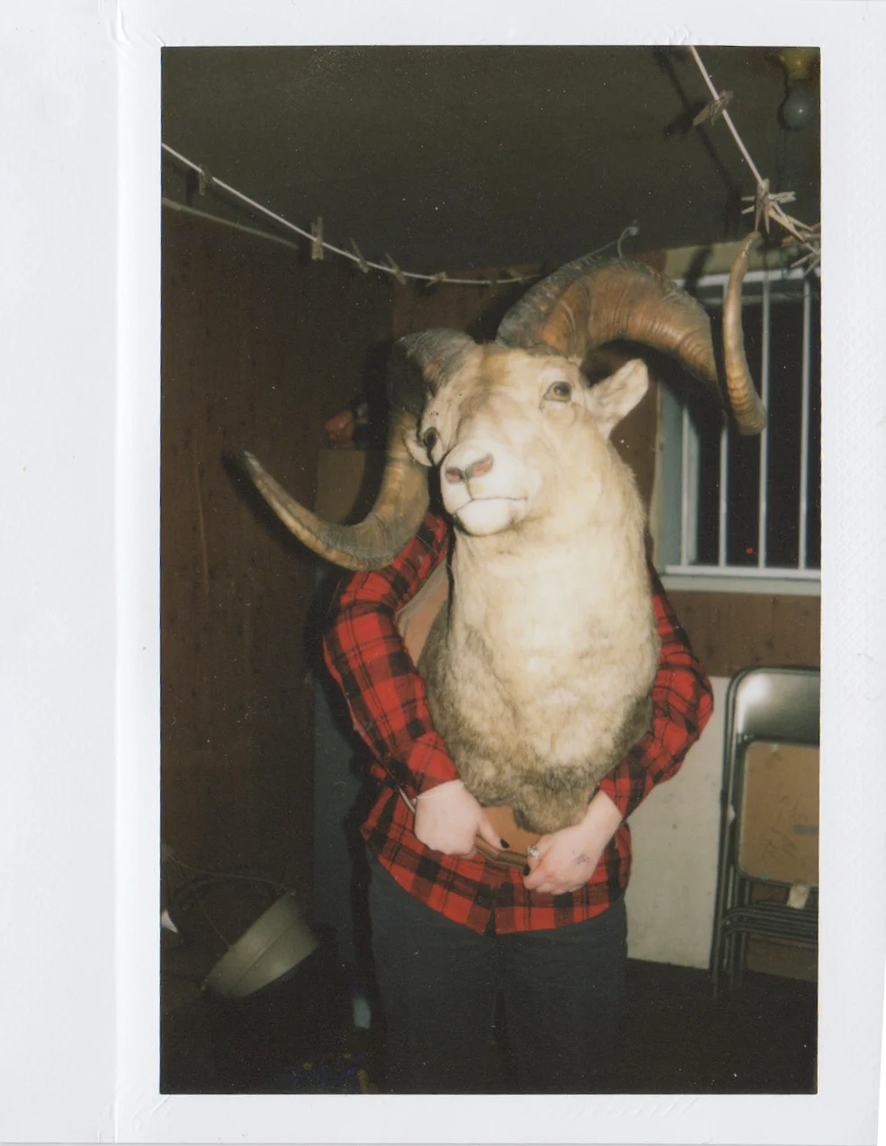 polaroid3.jpg