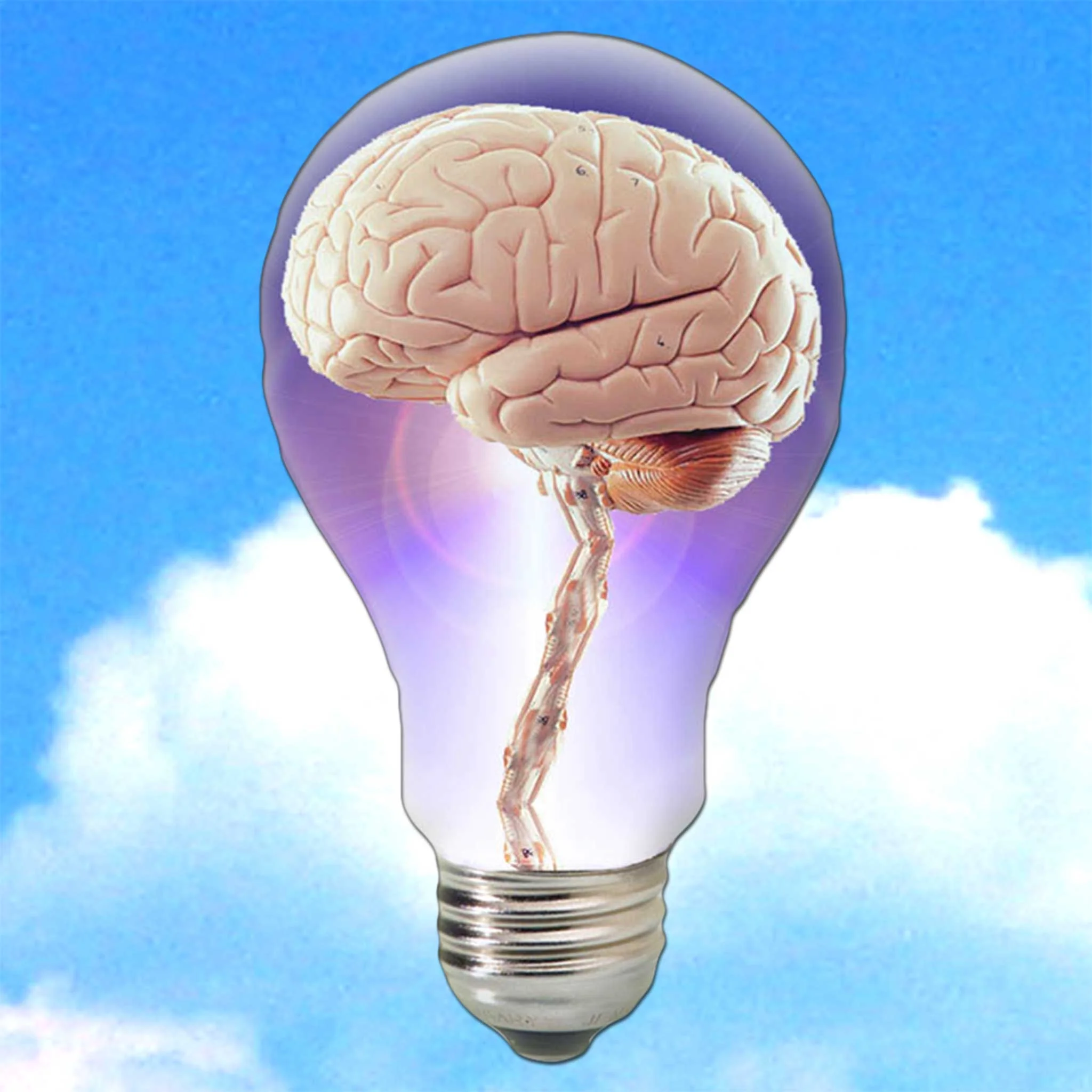 NewsBrain Application Icon