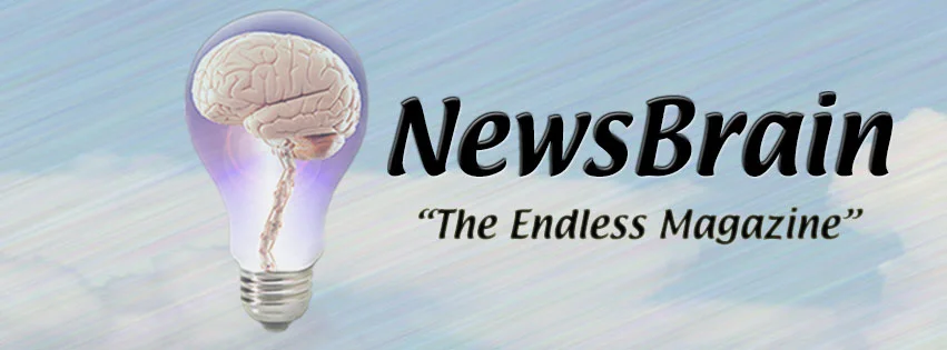 NewsBrain-Facebook-Cover-Page.jpg