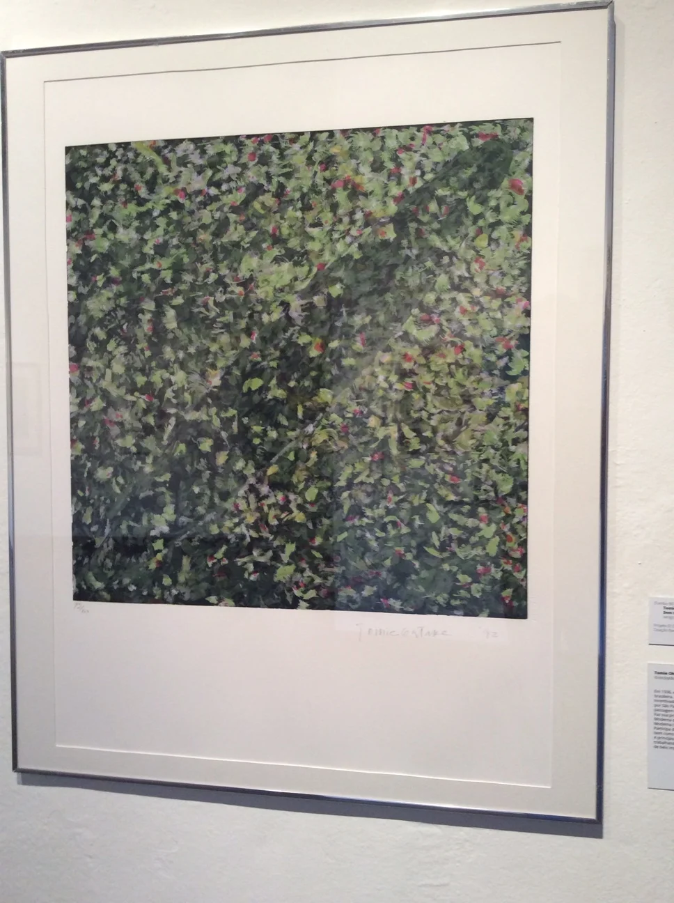 TOMIE OTAKE Sem título, 1992 Serigrafia sobre papel 100 x 70 cm Doação Banco Bozano Simonsen