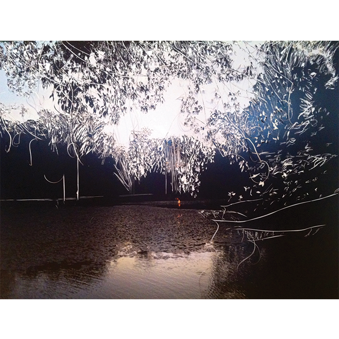  Rosângela Dorázio&nbsp; Horto, 2014&nbsp; Gravura sobre fotografia&nbsp; 115 x 150 cm    