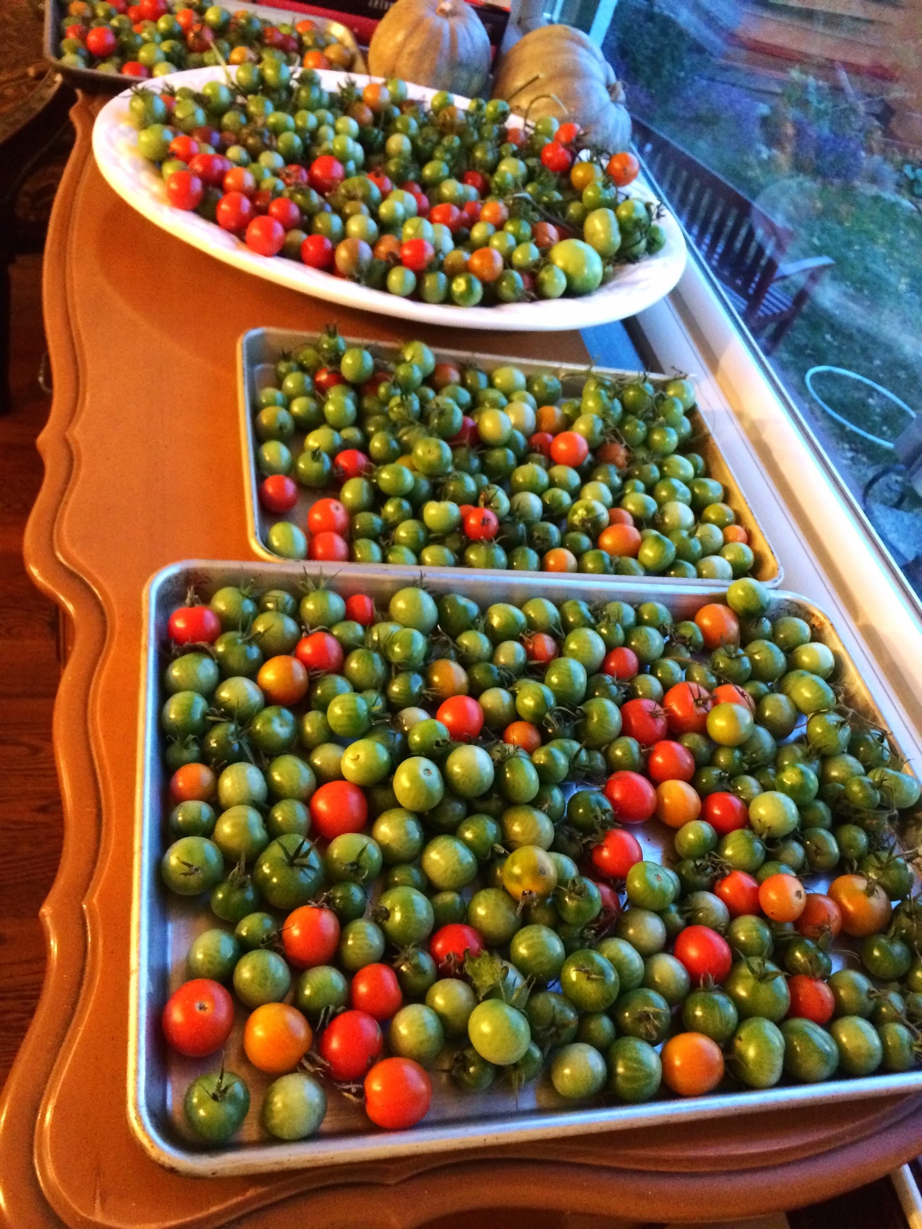 Green Tomatoes.jpg