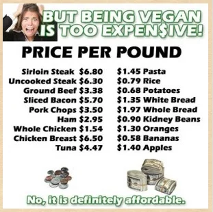  Graphic from www.plantbaseddietician.com