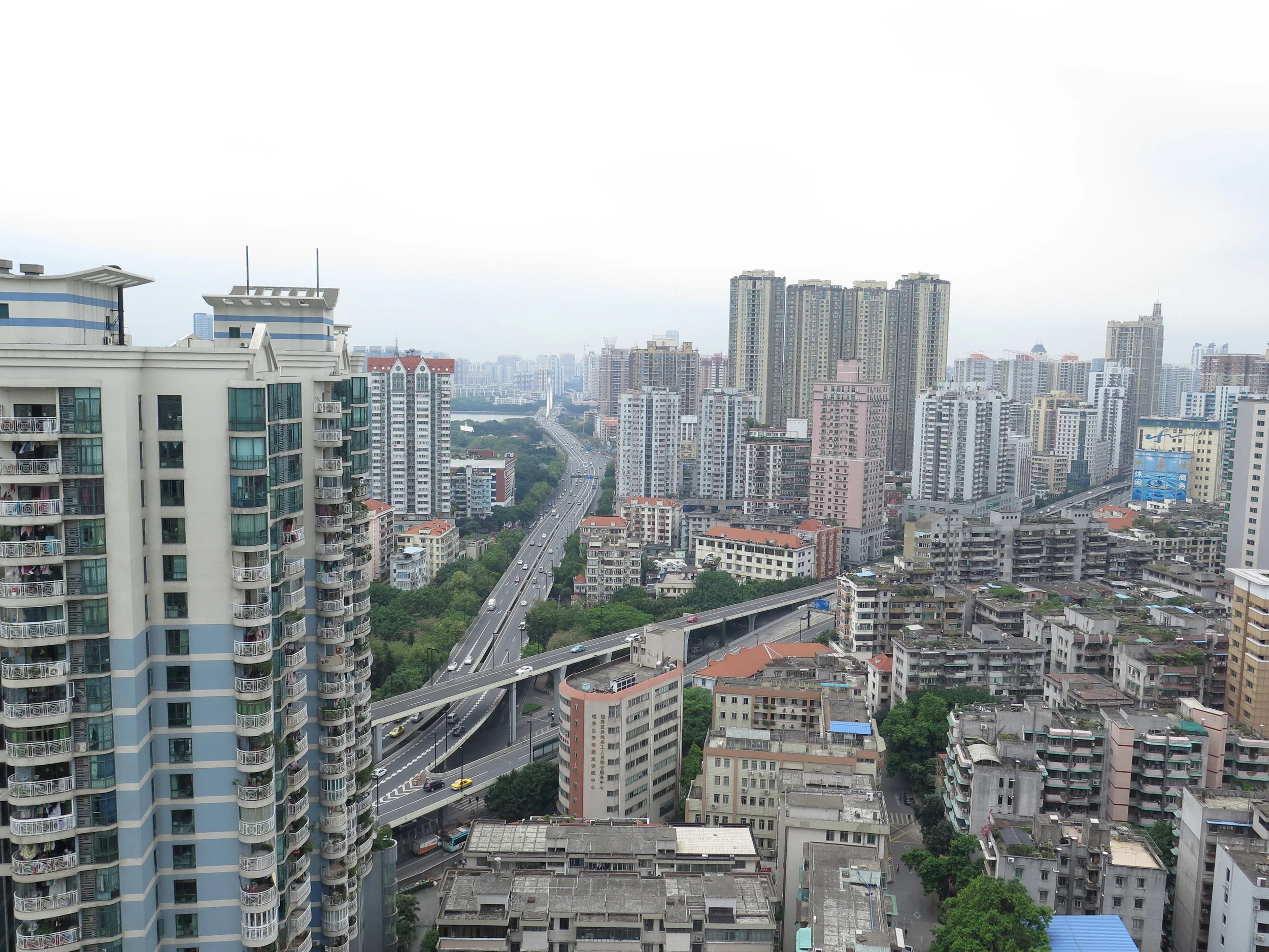 IMG_2765.JPG