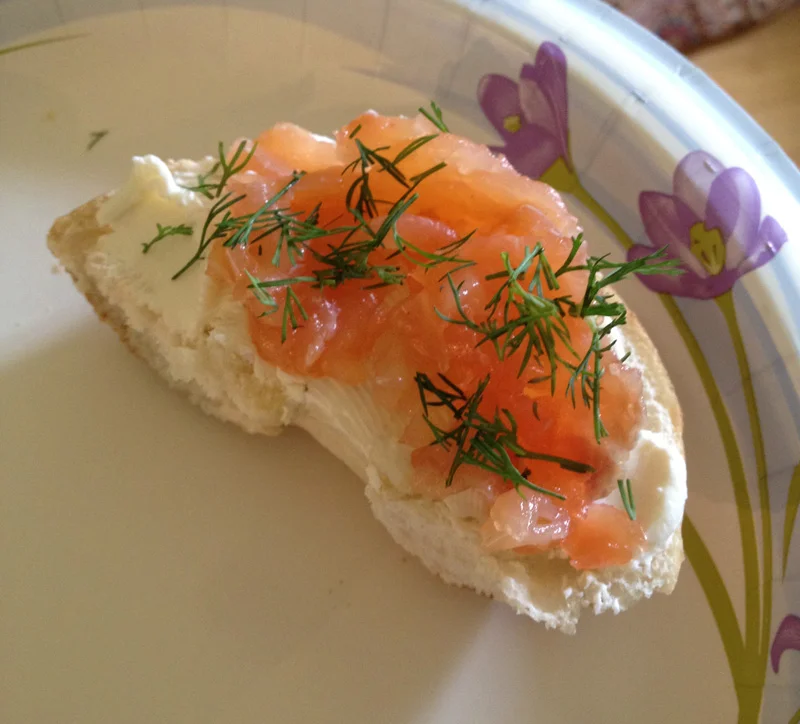 The Best Brunch Bagels and Lox (A.K.A. How To Make Lox) — Delish Megish