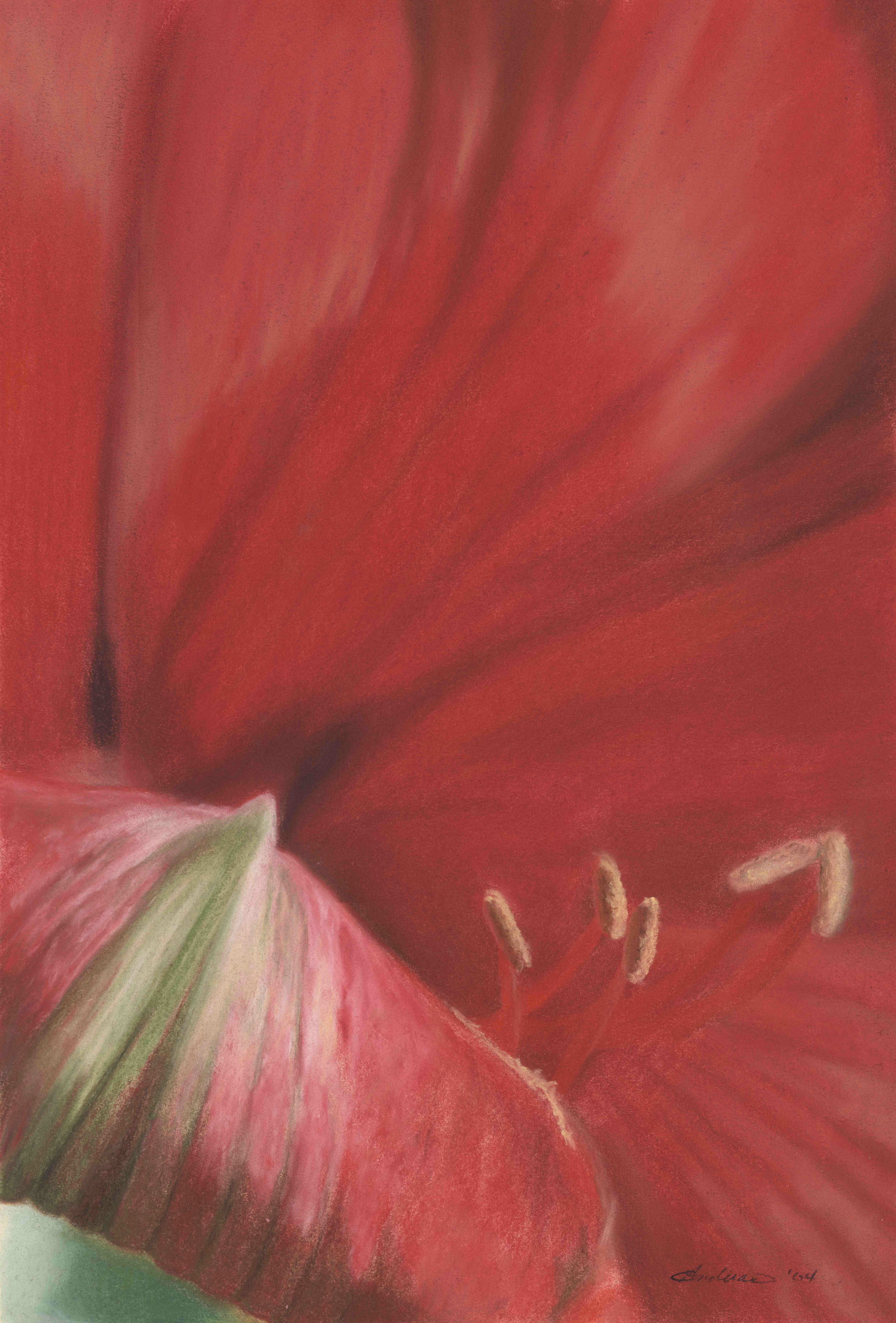 RedFlower_ca.jpg