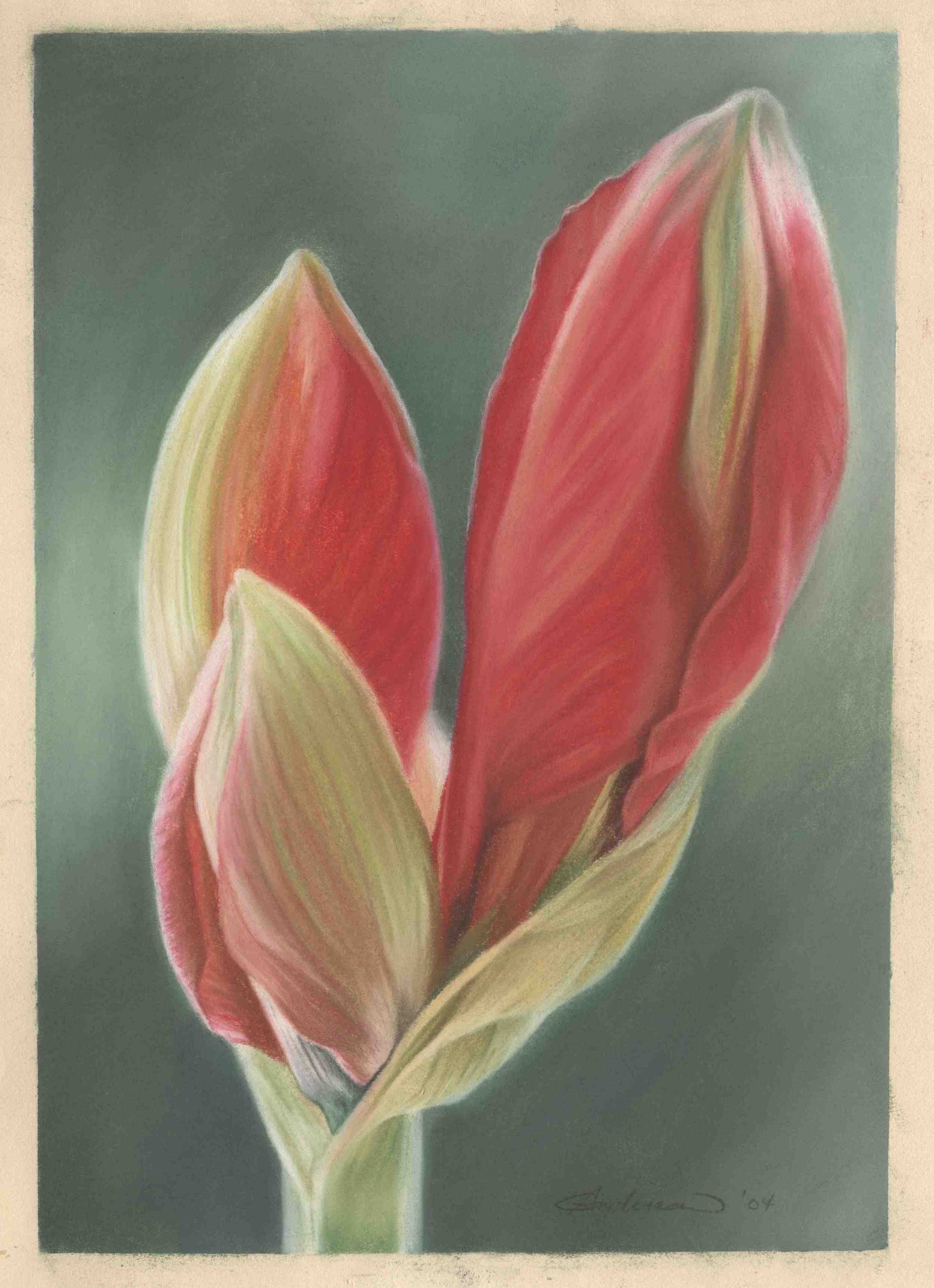 Flower_ca.jpg