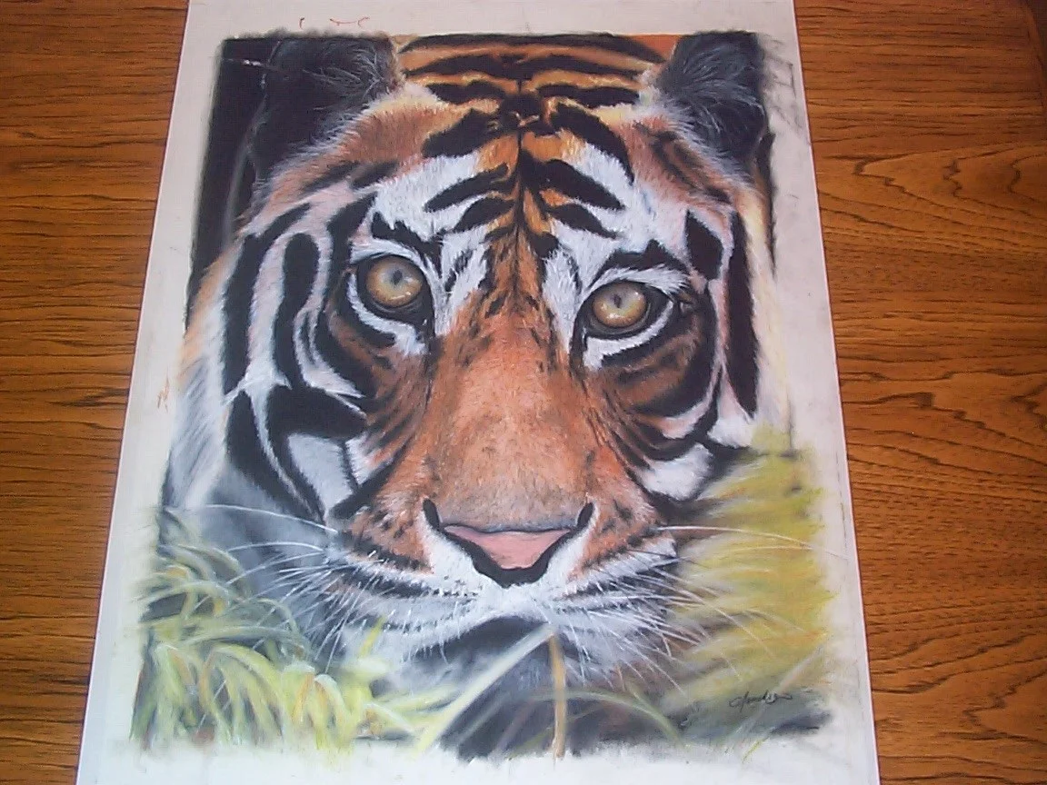 tiger_ca.jpg