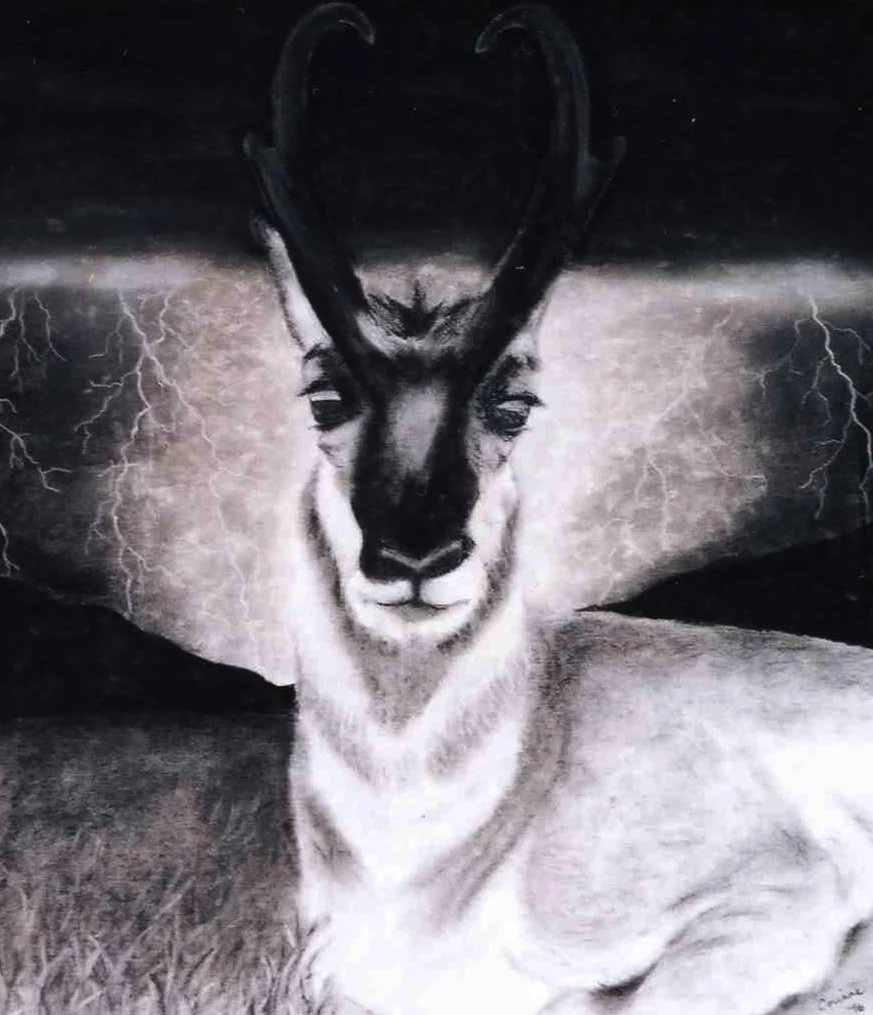 DeerLightning001.jpg