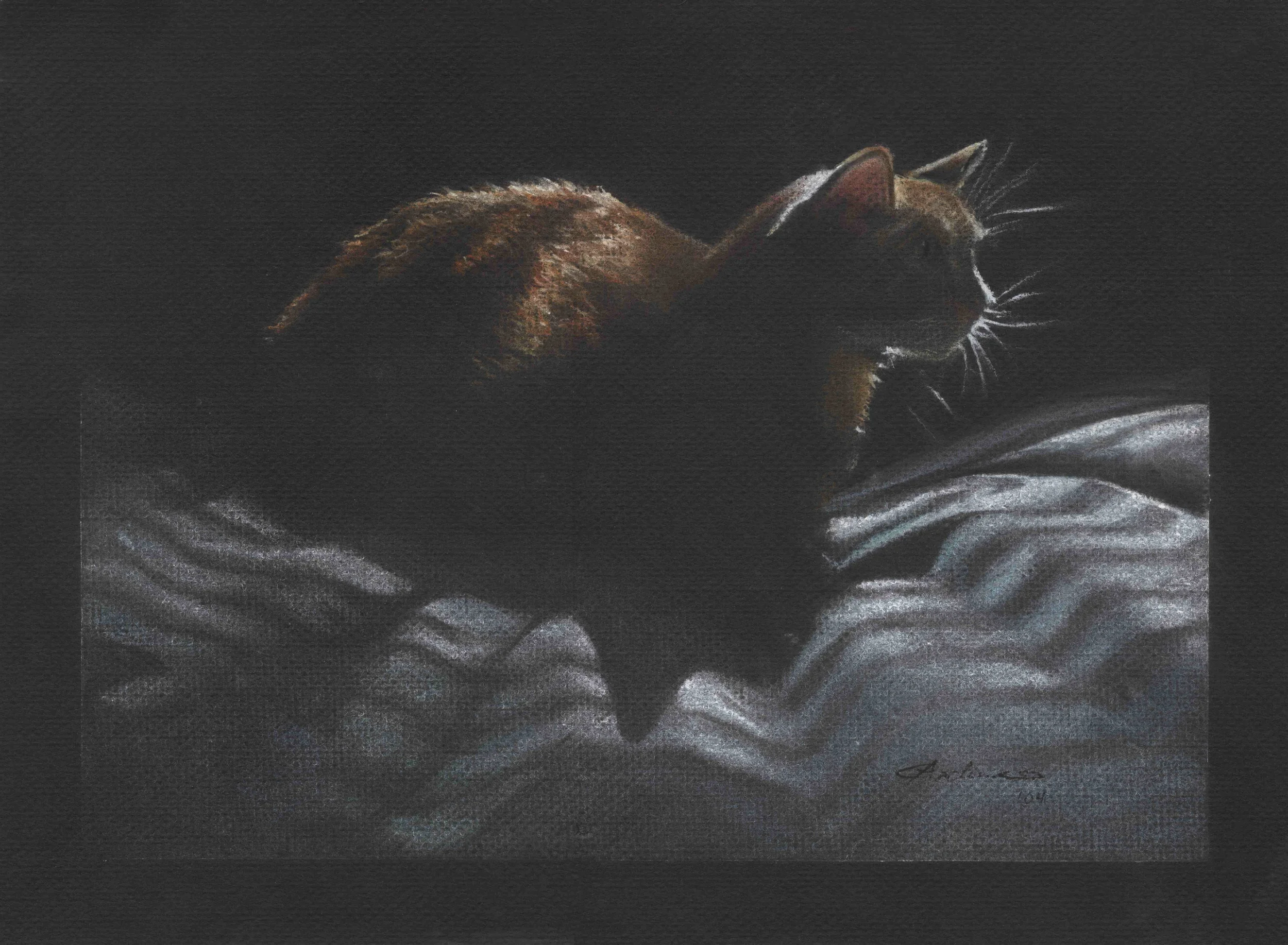 Gingercat_ca.jpg