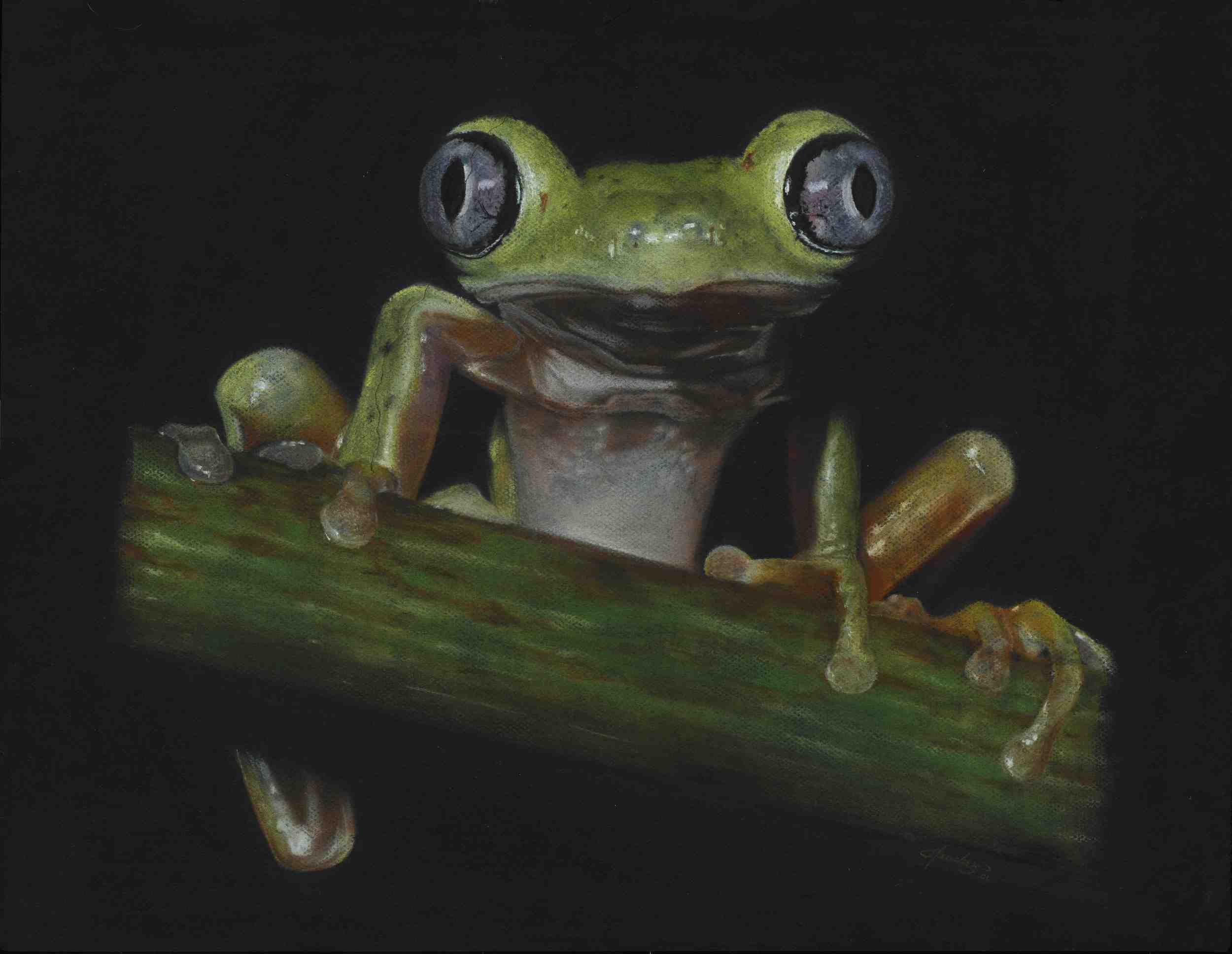 Kermit_ca.jpg