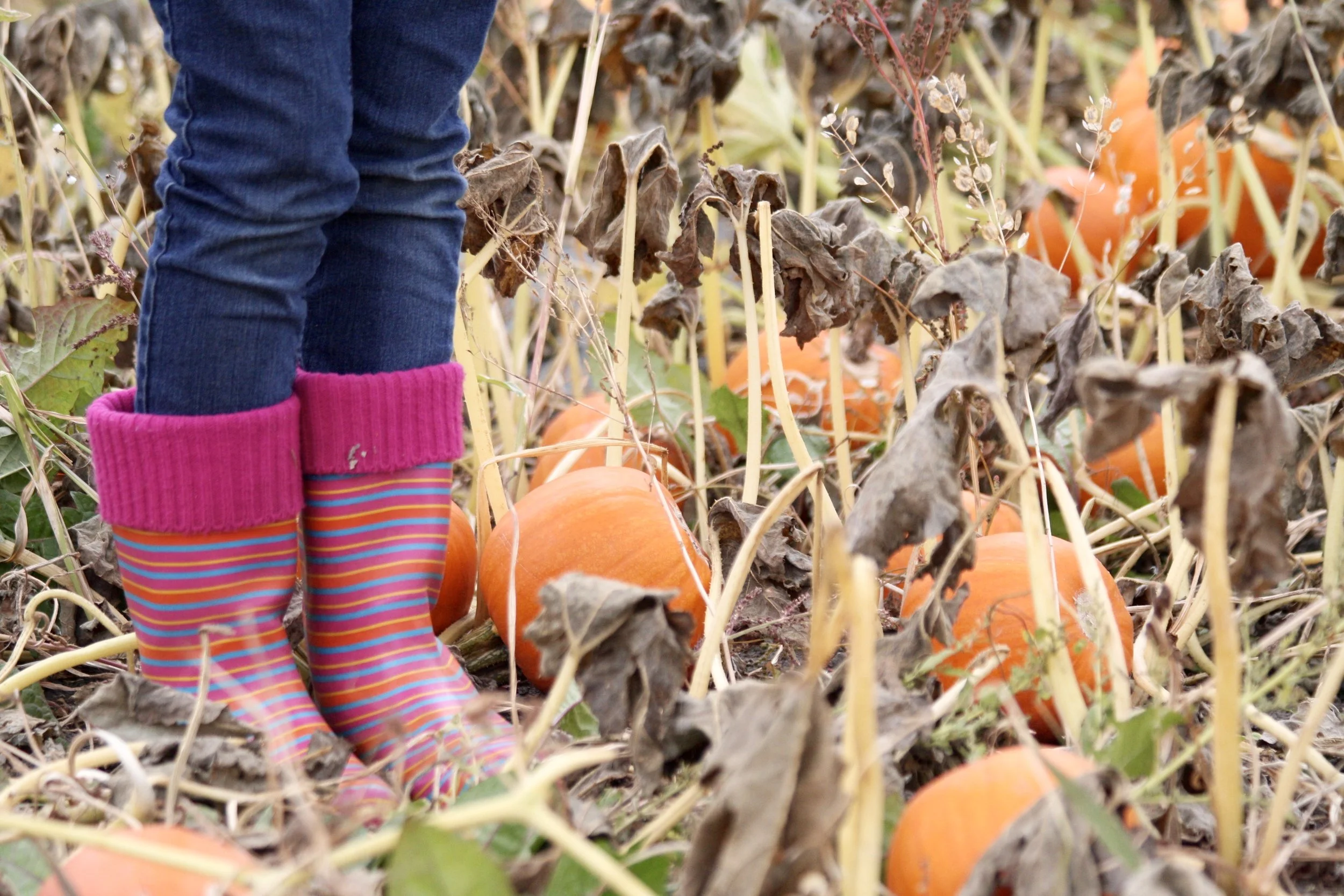IMG_0351.jpg