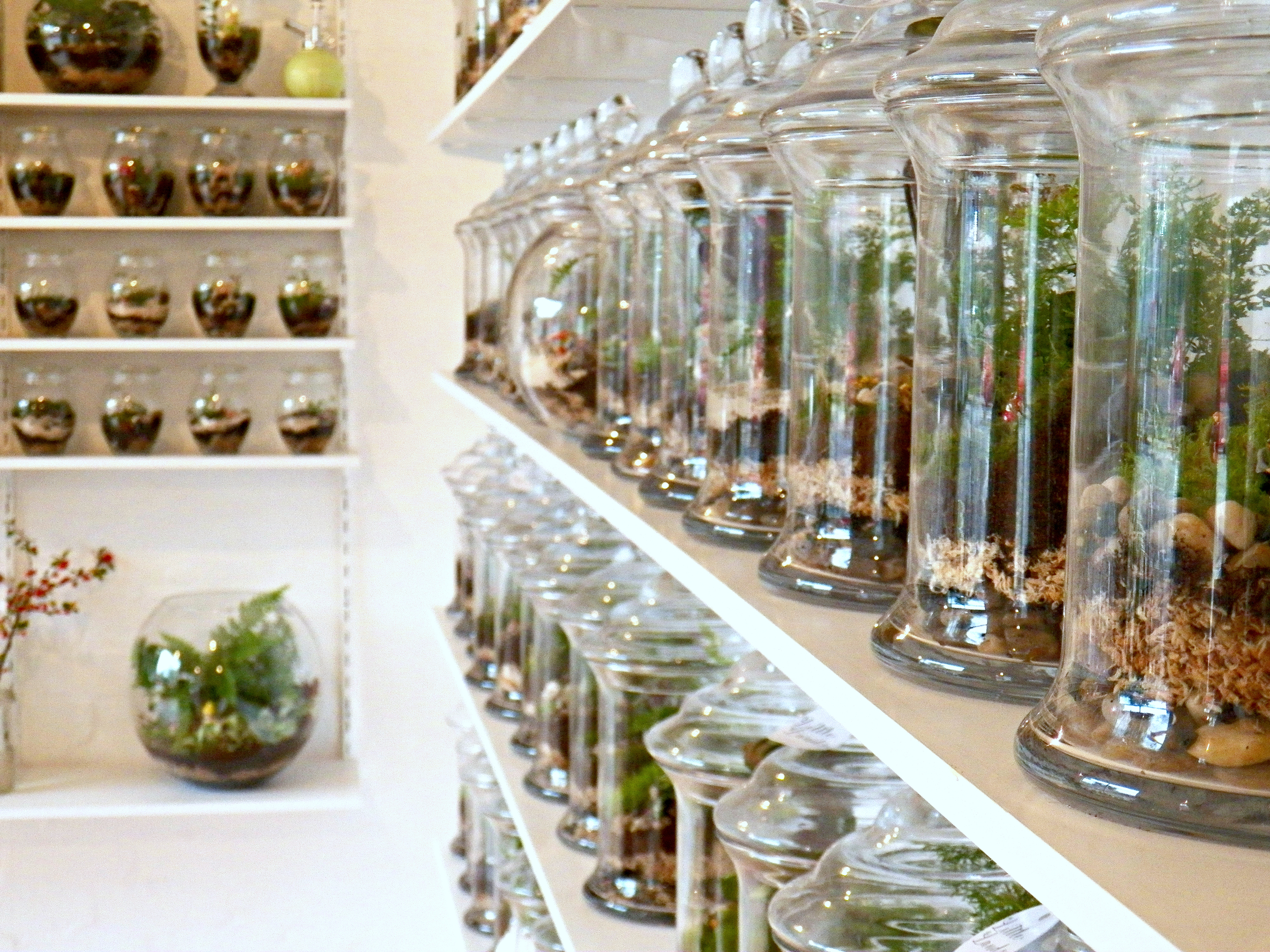 Terrariums Melbourne Little LandsLookbook — Little Lands