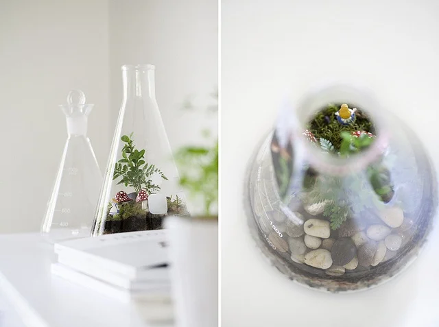 terrariums melbourne