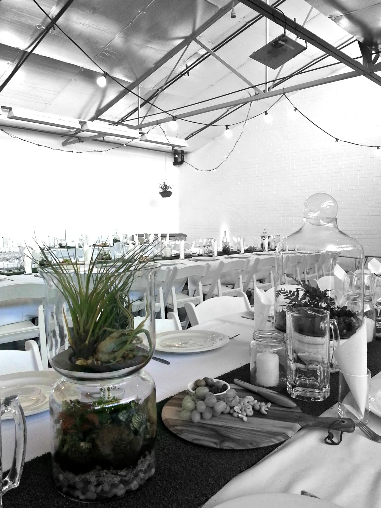 melbourne terrariums