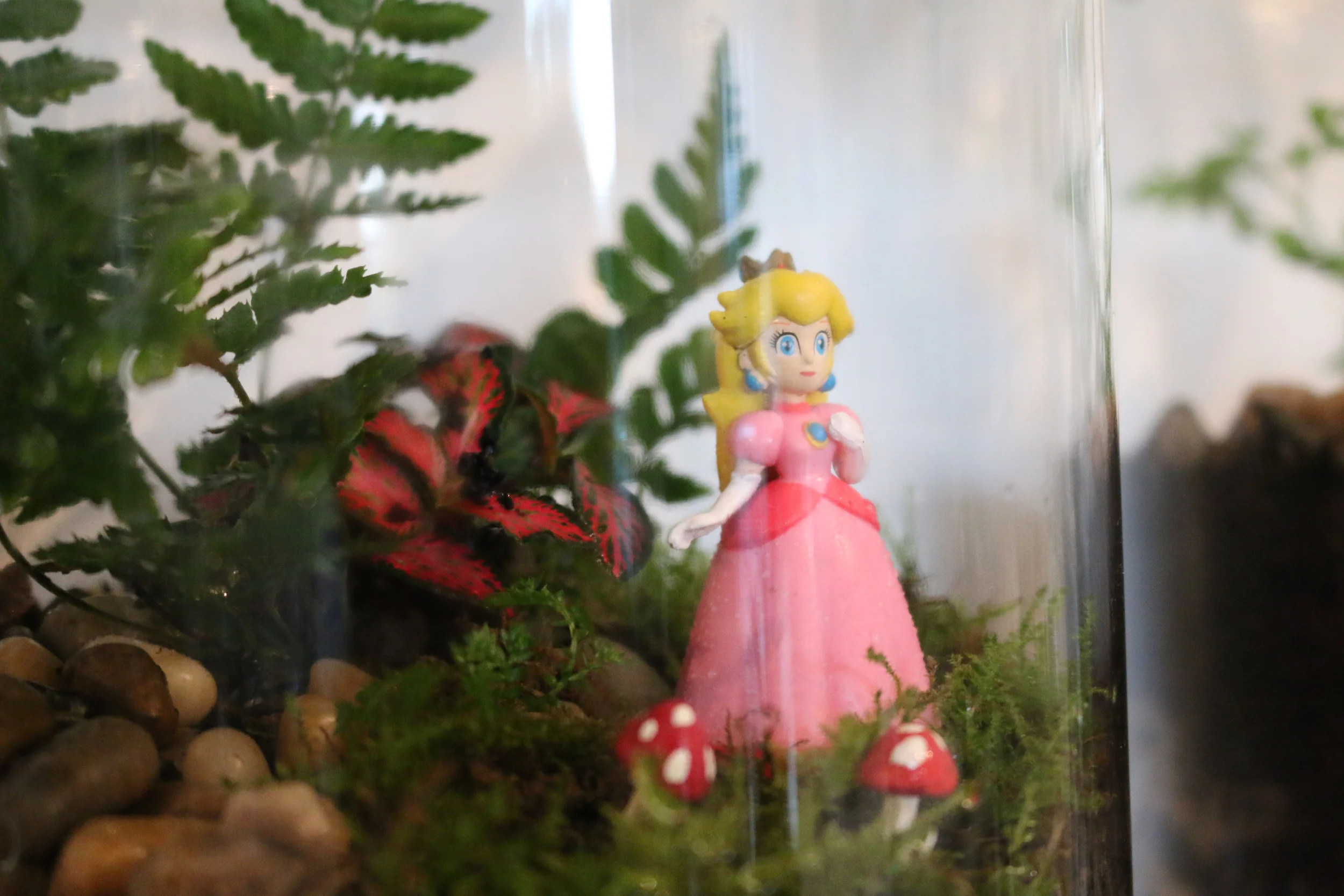 princess peach terrarium