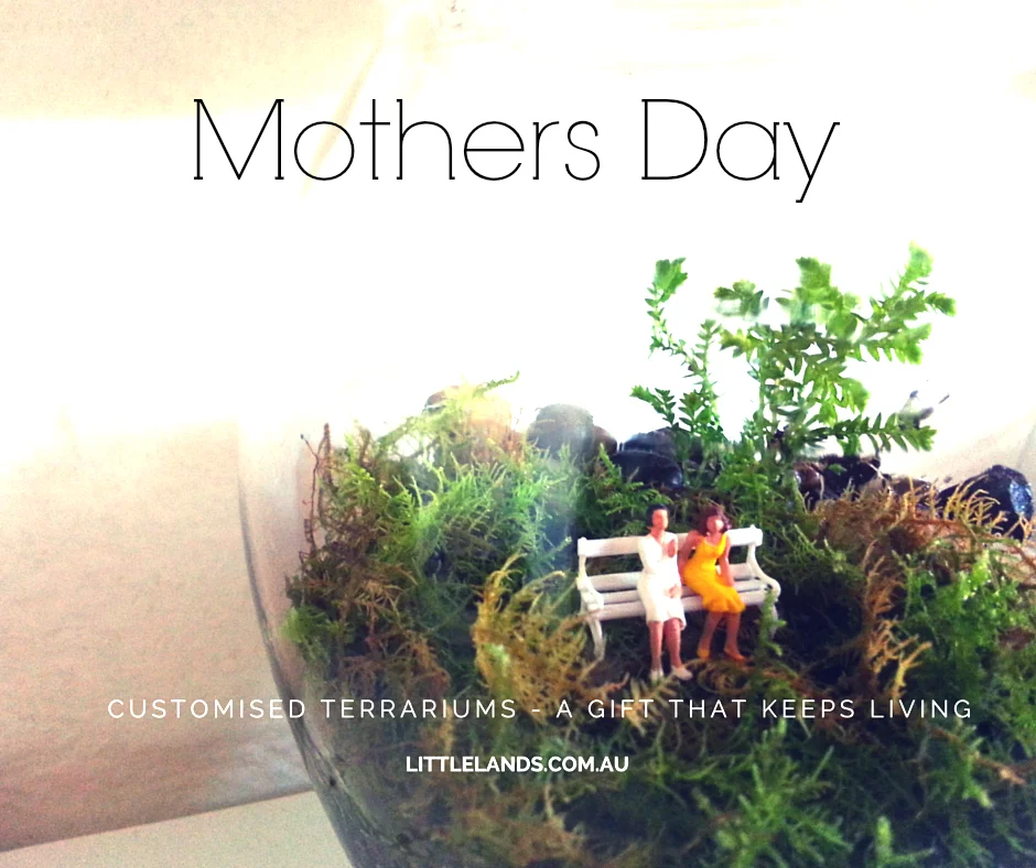 mothers day terrarium