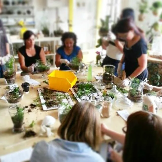melbourne terrarium workshop