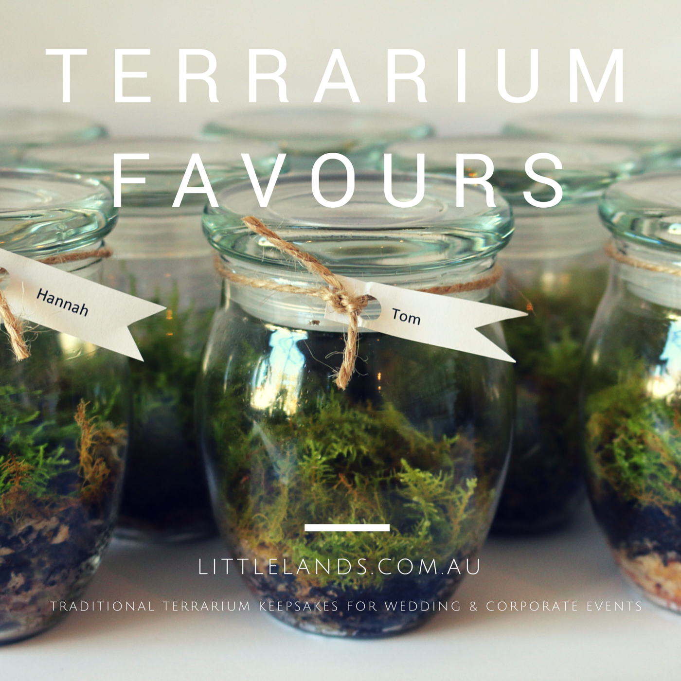 wedding favour terrarium