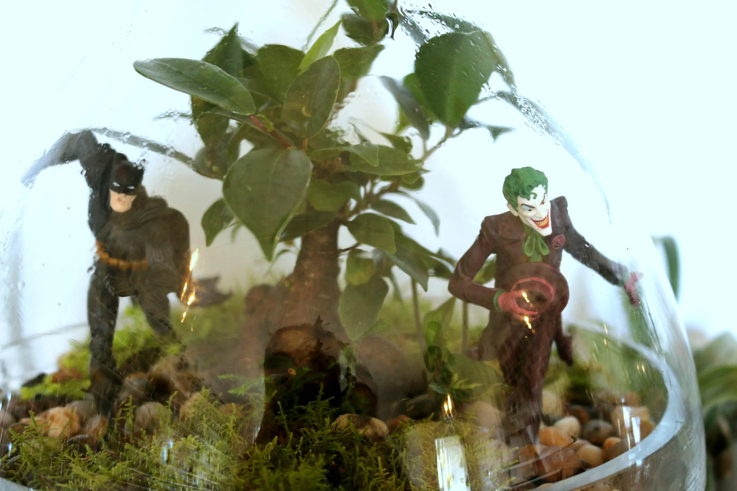Batman Terrarium
