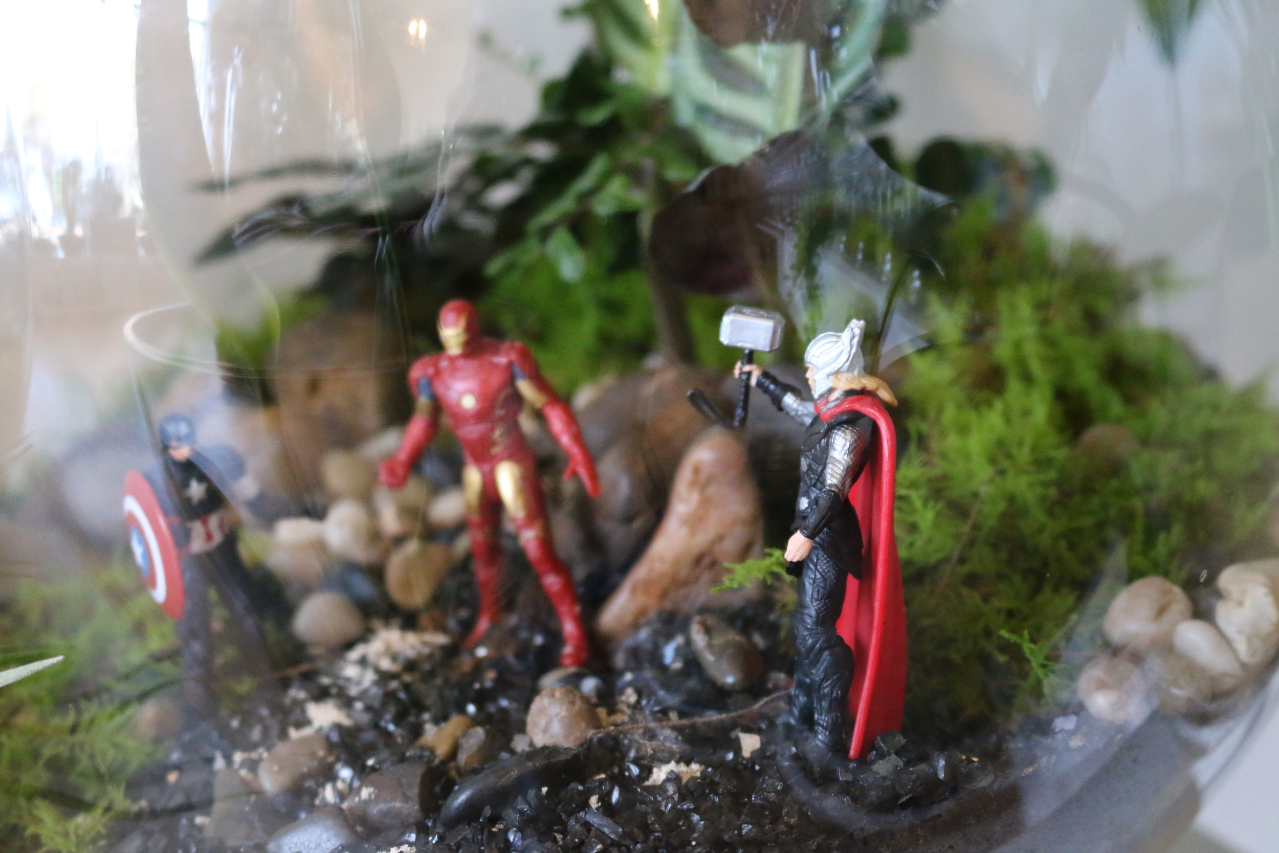 Avengers Terrarium