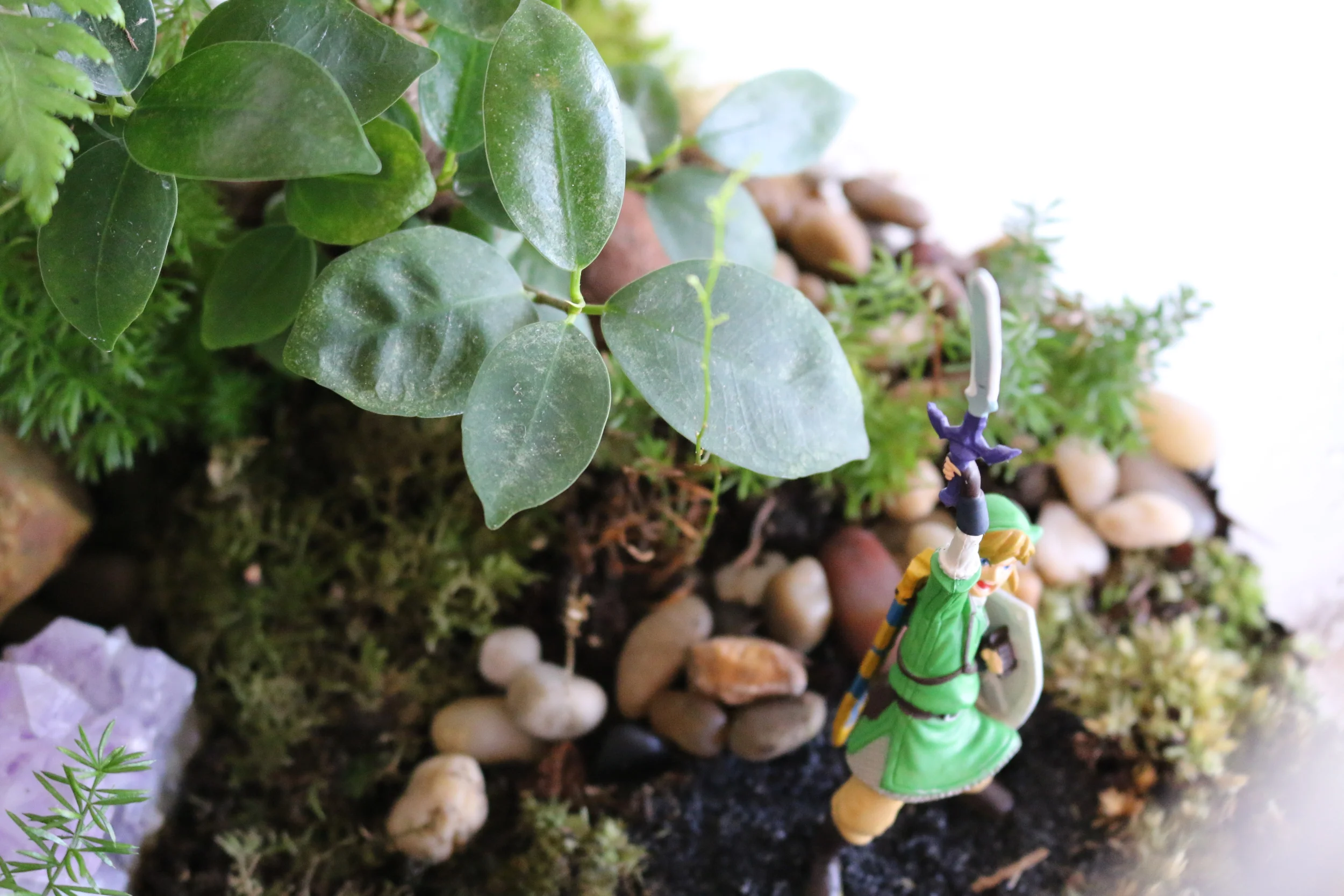 The Legend of Zelda Terrarium