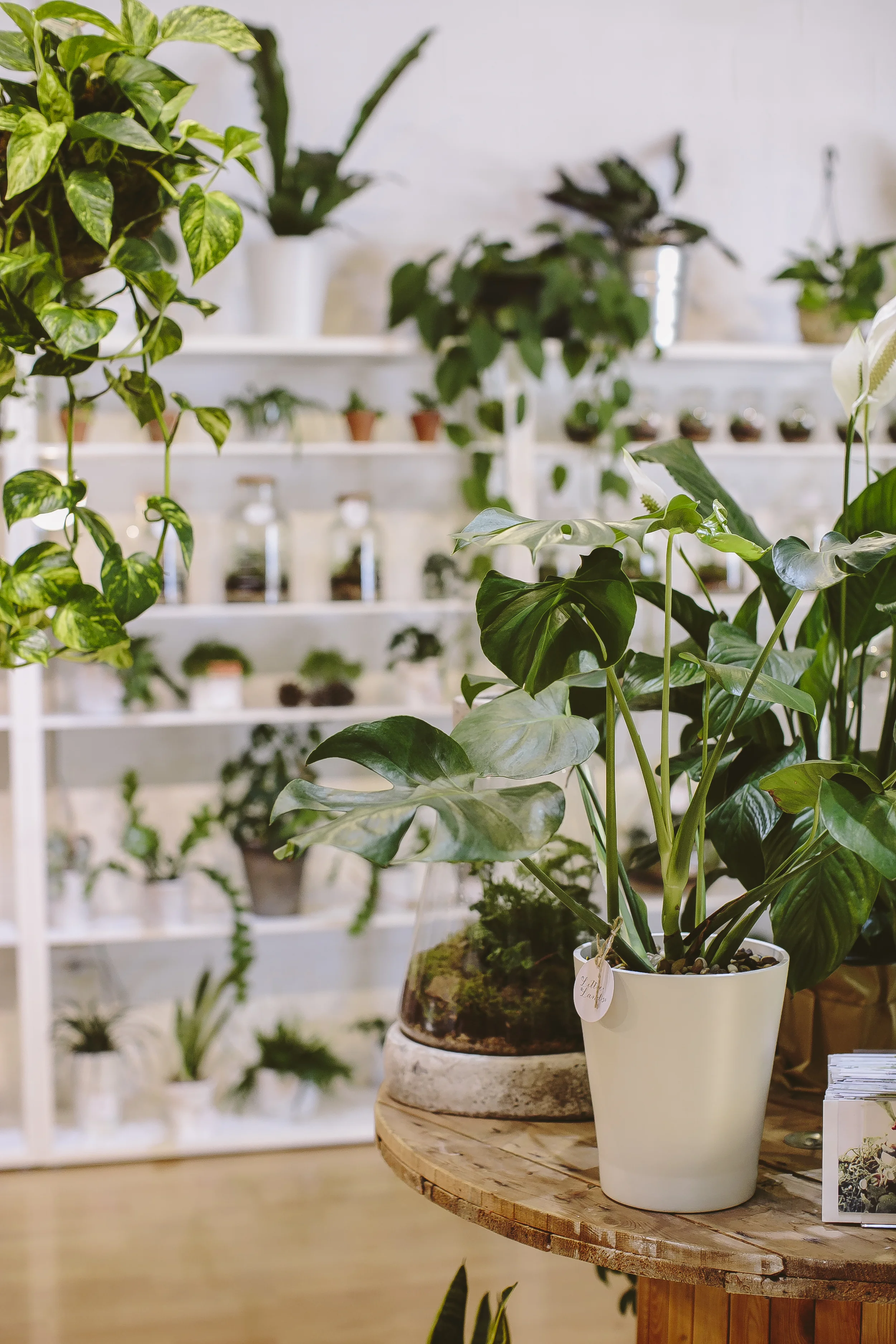 Little Lands-262.jpg