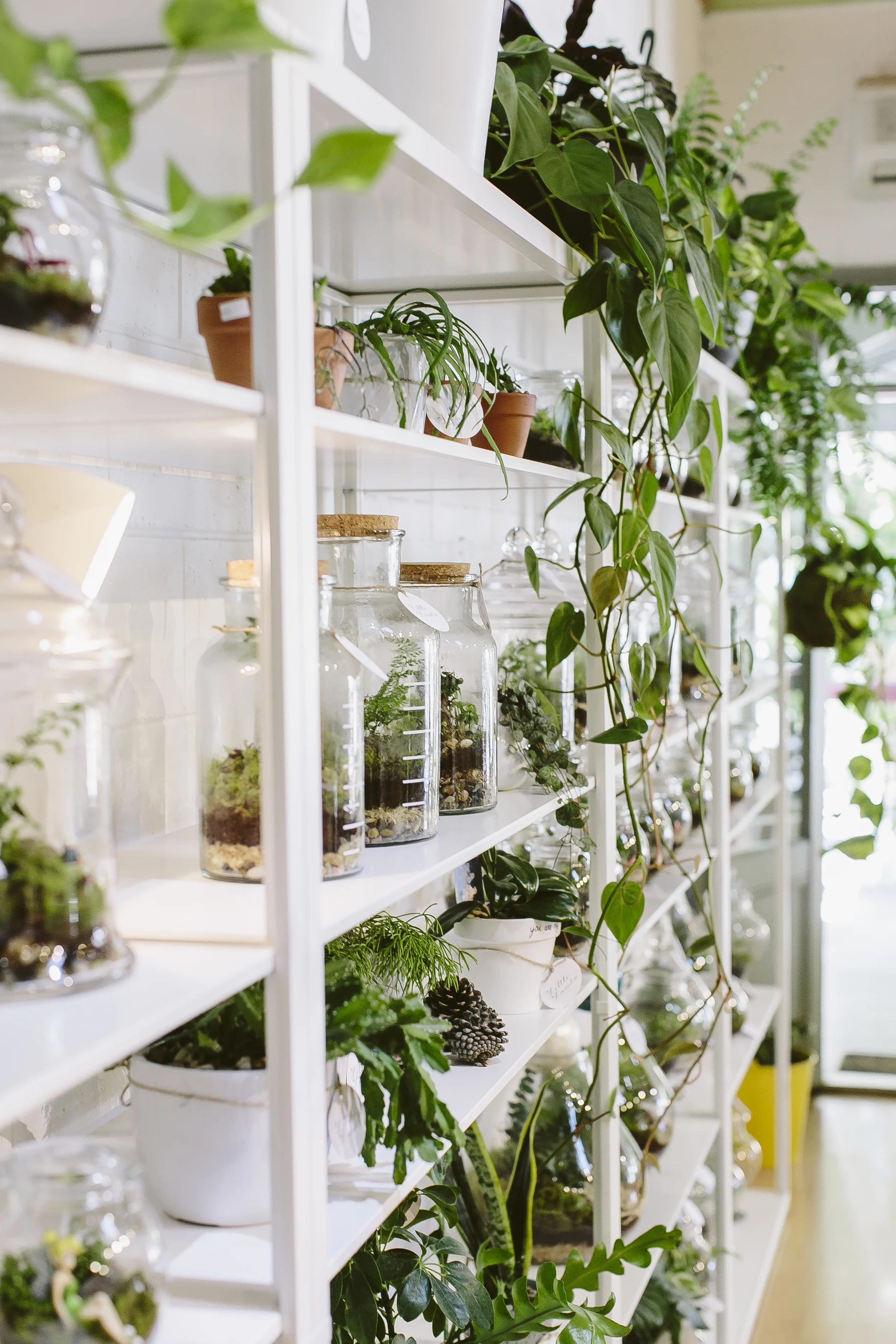 Little Lands-183.jpg