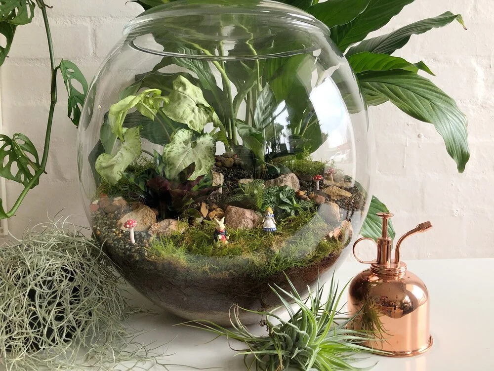 Rose Bowl Terrarium.JPEG