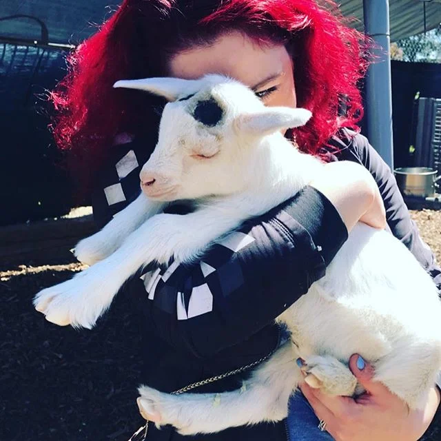 Made some animal friends this weekend. #animalfriends #rescueanimals #animalcuddles