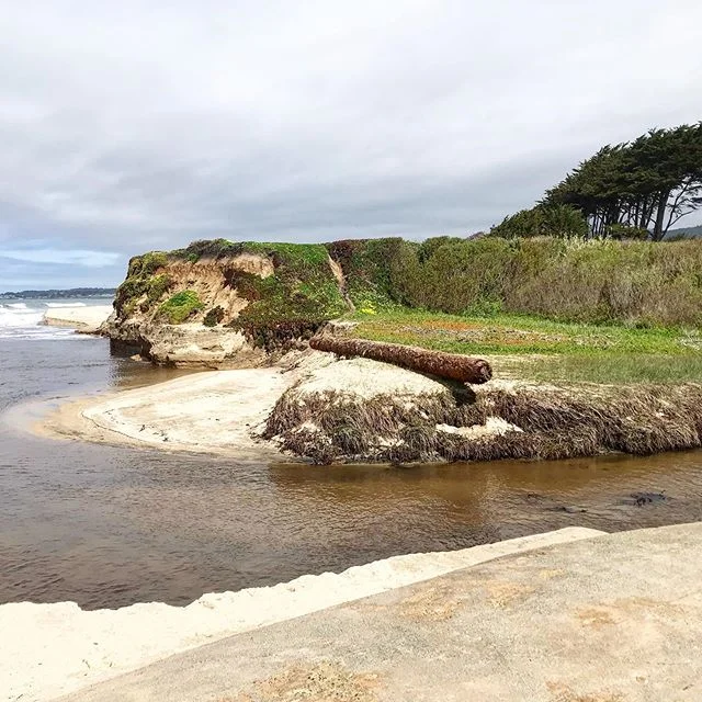 Lovely Saturday walk in Half Moon Bay #familytime #parentsvisiting #halfmoonbay #beachwalk #springtime