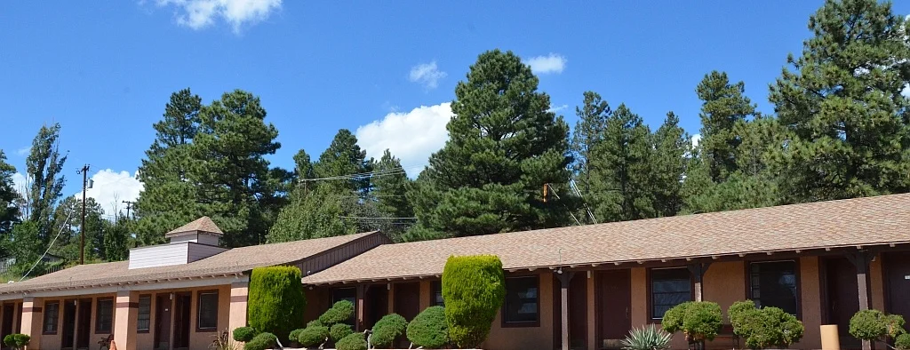 Another view of our rooms in amongst the evergreens.