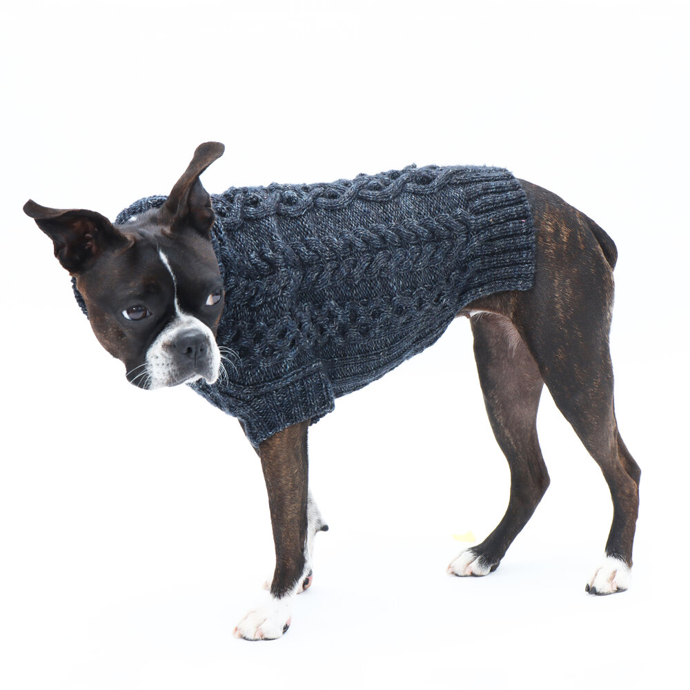 Knitted Boston Terrier Sweater Pattern