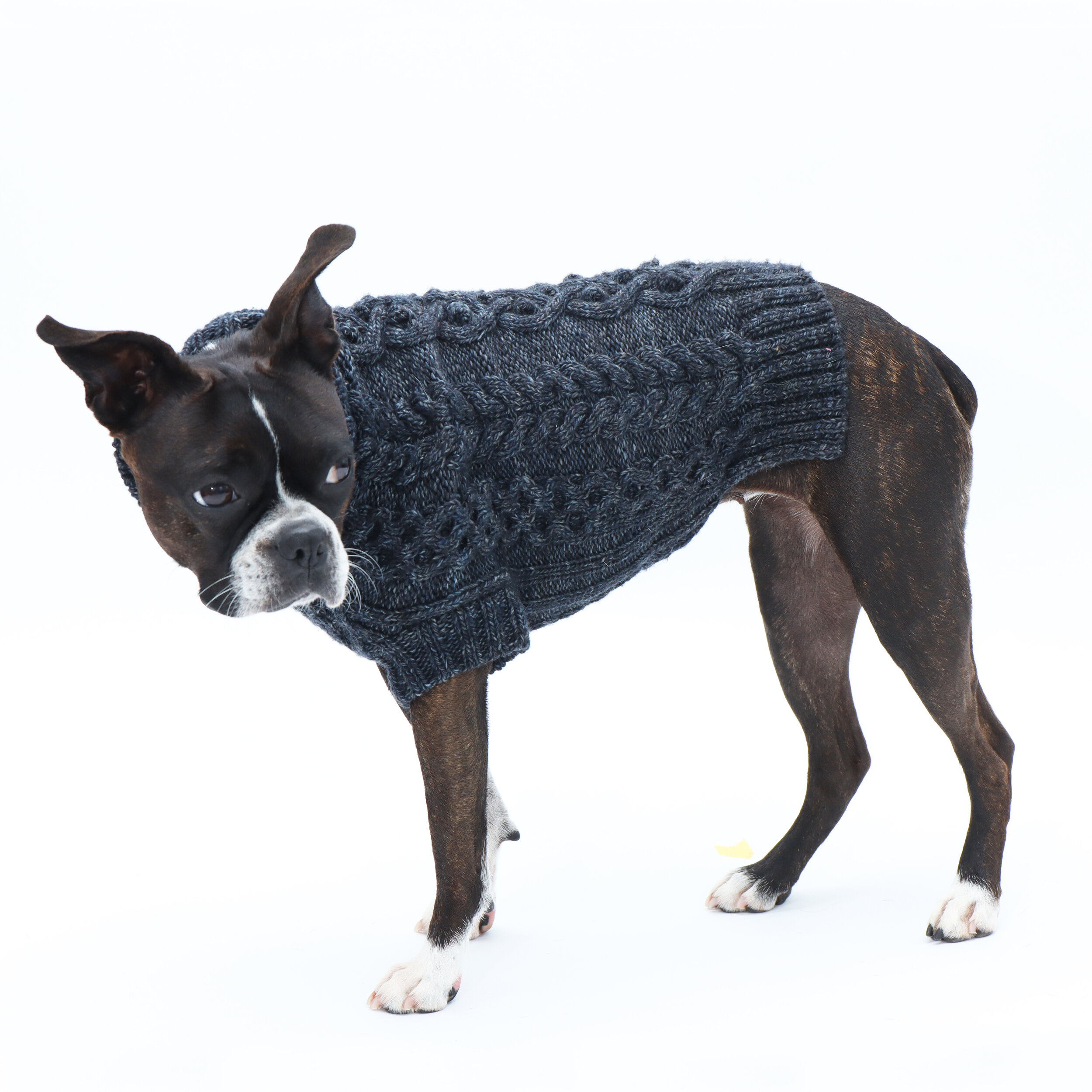 Crazy For Cables Dog Sweater Pattern