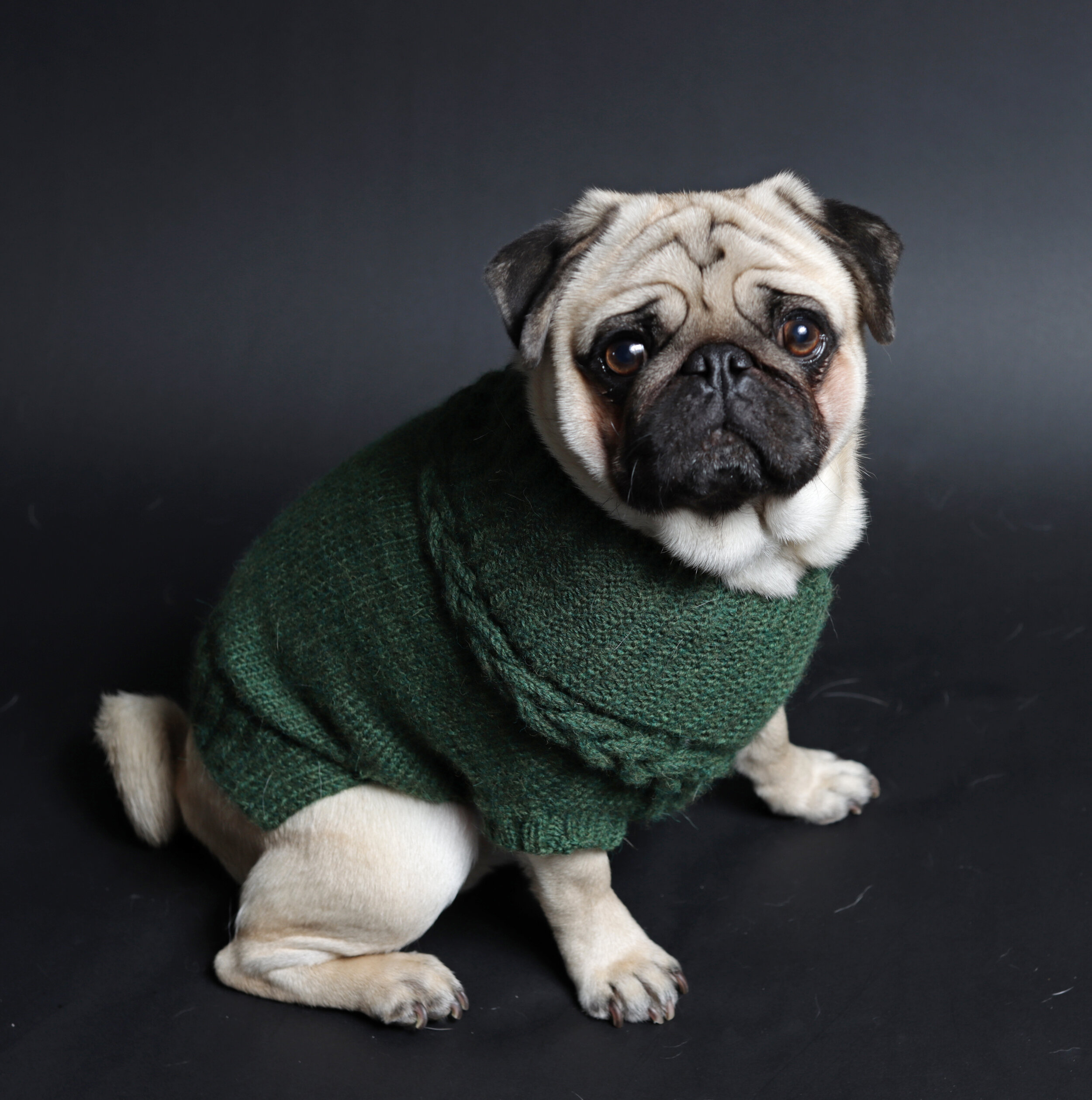 Grandpa Dog Sweater