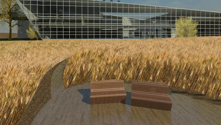 Wheat Fields outside