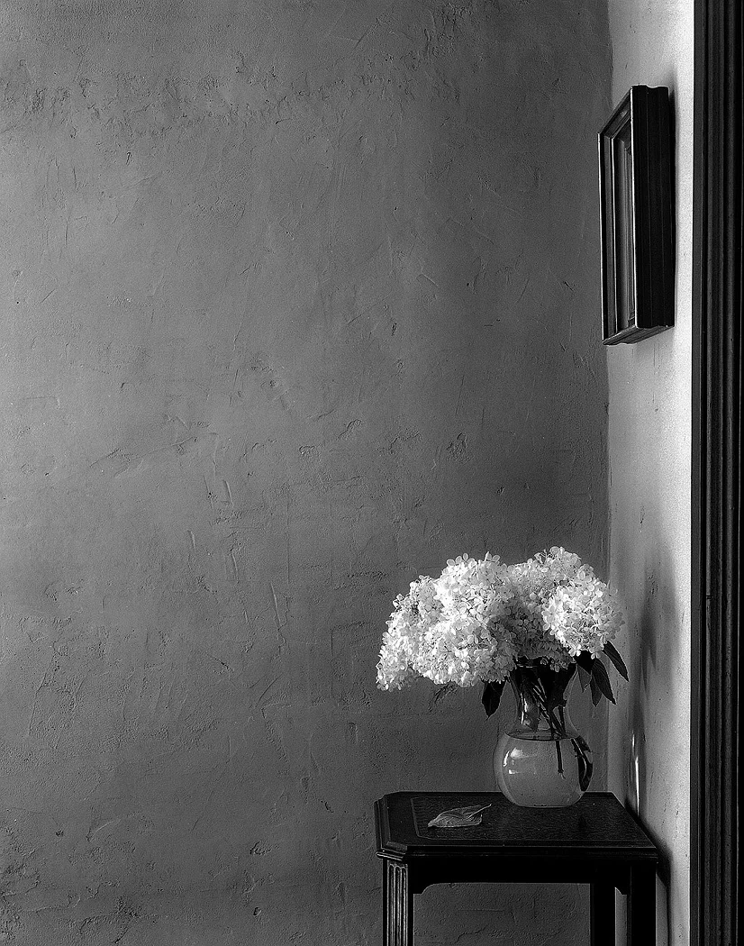 hallwall aug 06e.jpg