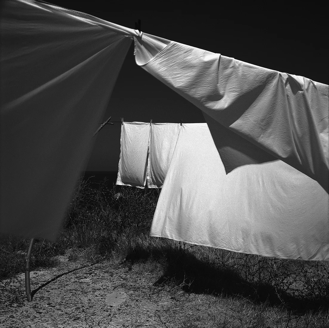 sozopal sheets.jpg