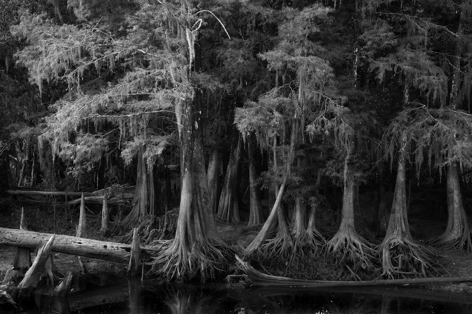 wewa bw_MG_0017site.jpg