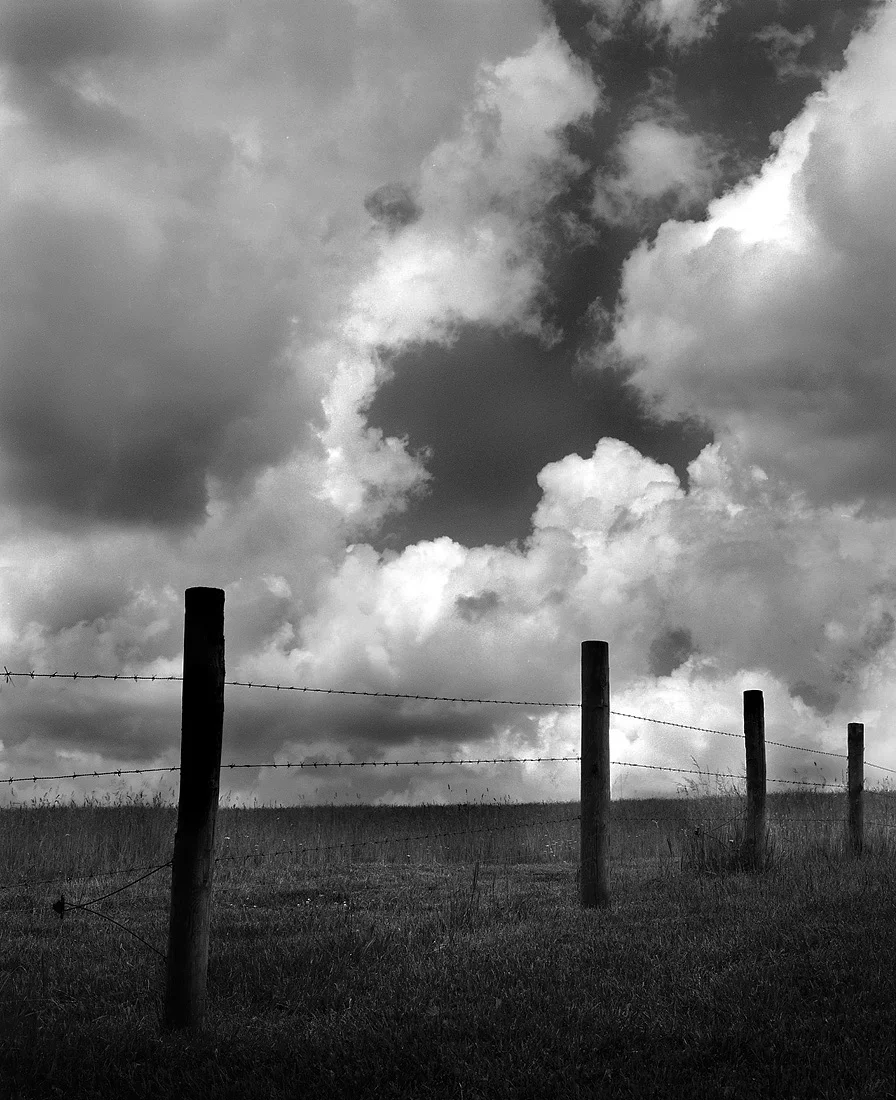fence.jpg