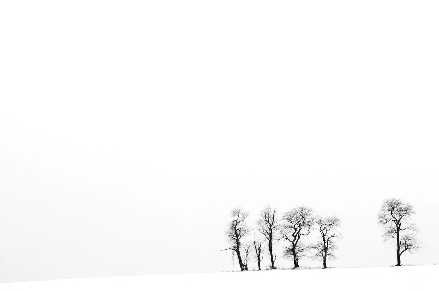 _MG_0001 tewksbury vliettown rd.jpg