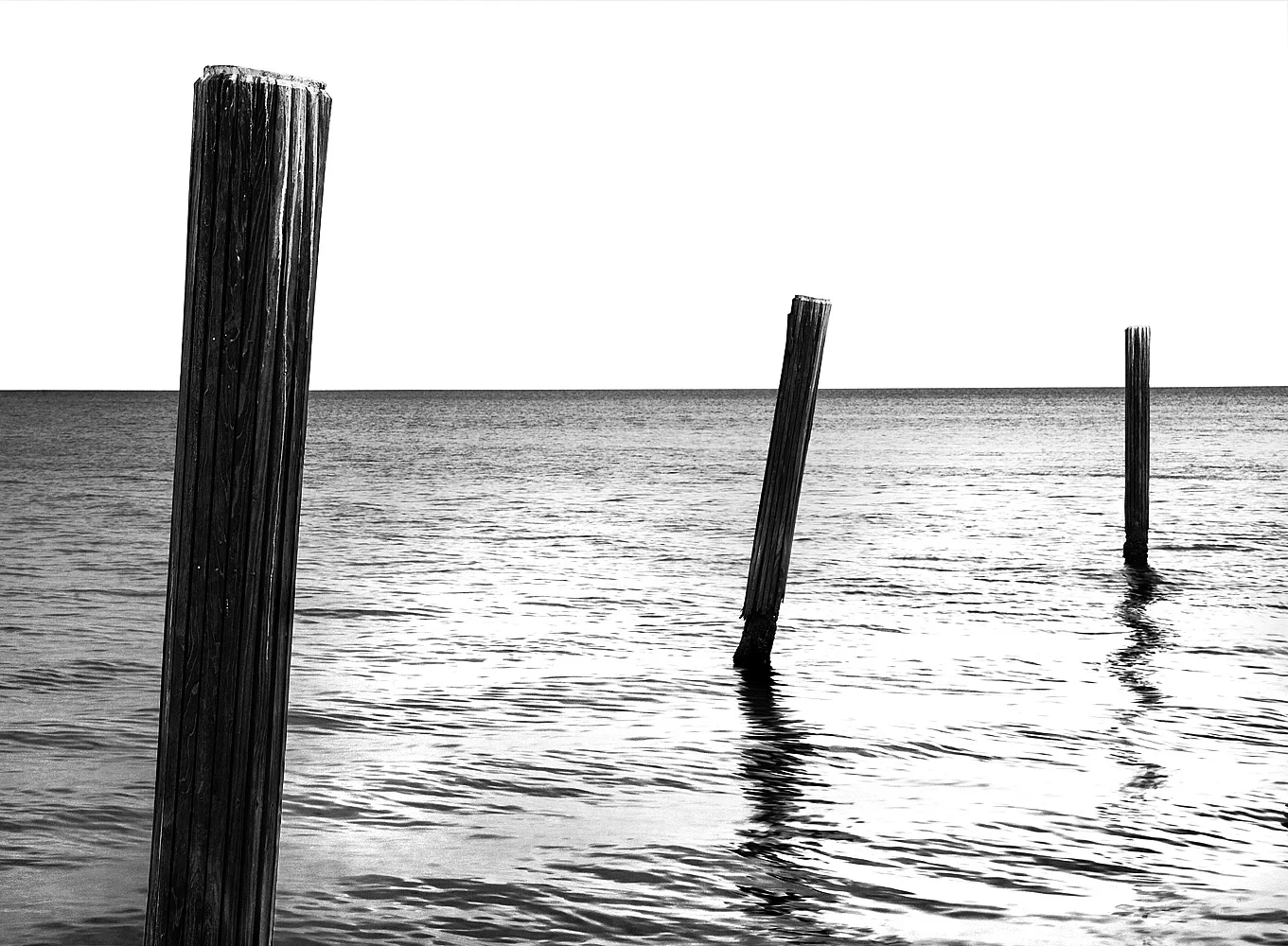 _MG_0023coral gables.jpg