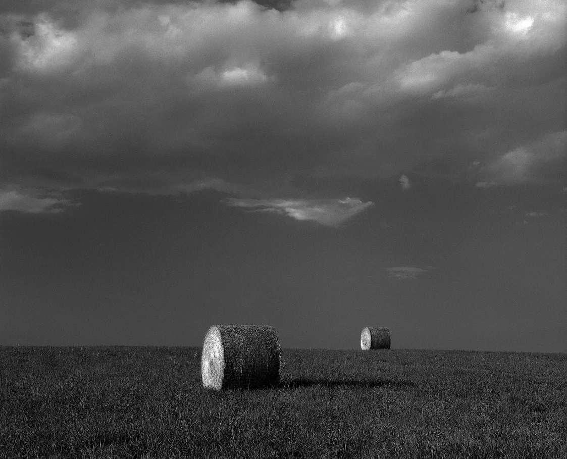 field.jpg