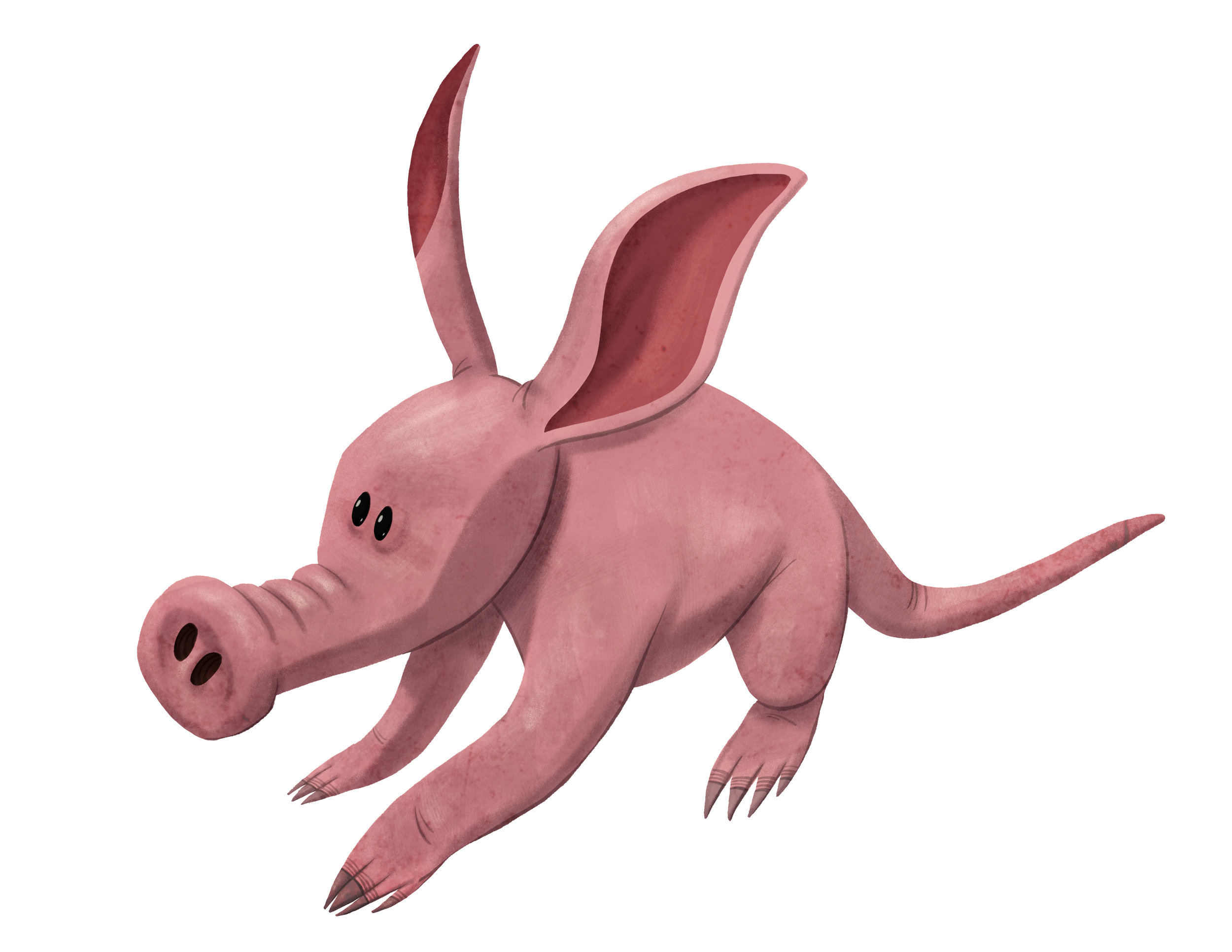 Winsol the baby aardvark