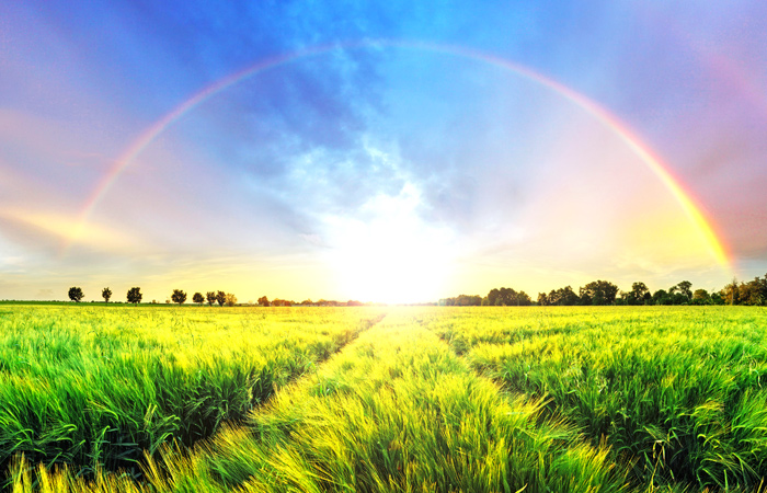 The-Soul-And-The-Ego-Spritiual-Meditation-Personal-Development-Workshops-Sunshine-Coast-Brisbane-Australia.jpg
