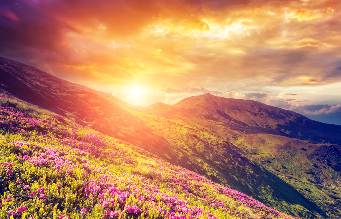 The-Soul-And-The-Ego-Personal-Development-Workshops-Australia.jpg