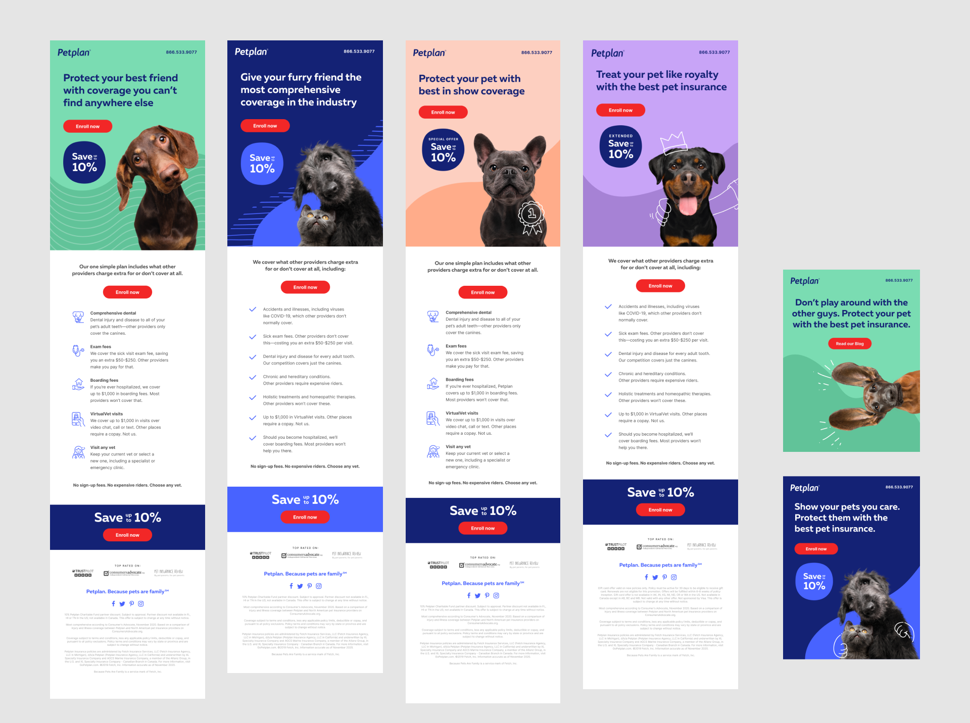 Portfolio_Petplan_04.png