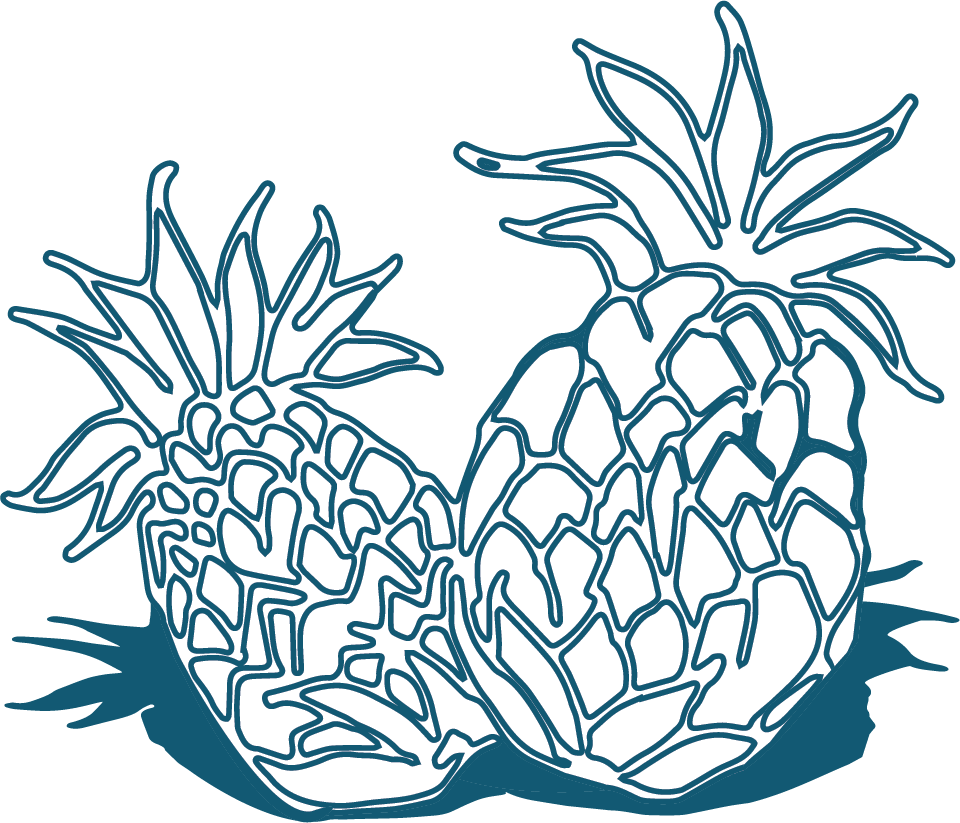 Line drawing of two pineapples, one in front of the other, with a blue background.